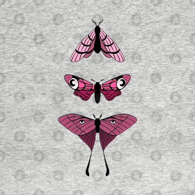 Pink moths by hgrasel